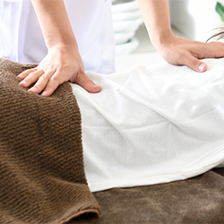 整体（カイロプラクティック）